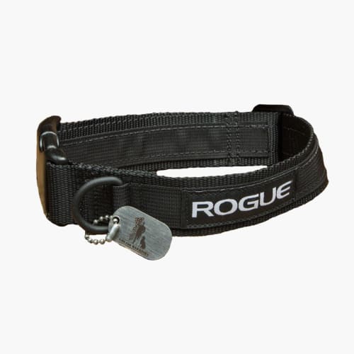 Dog Collars Leashes Rogue Fitness
